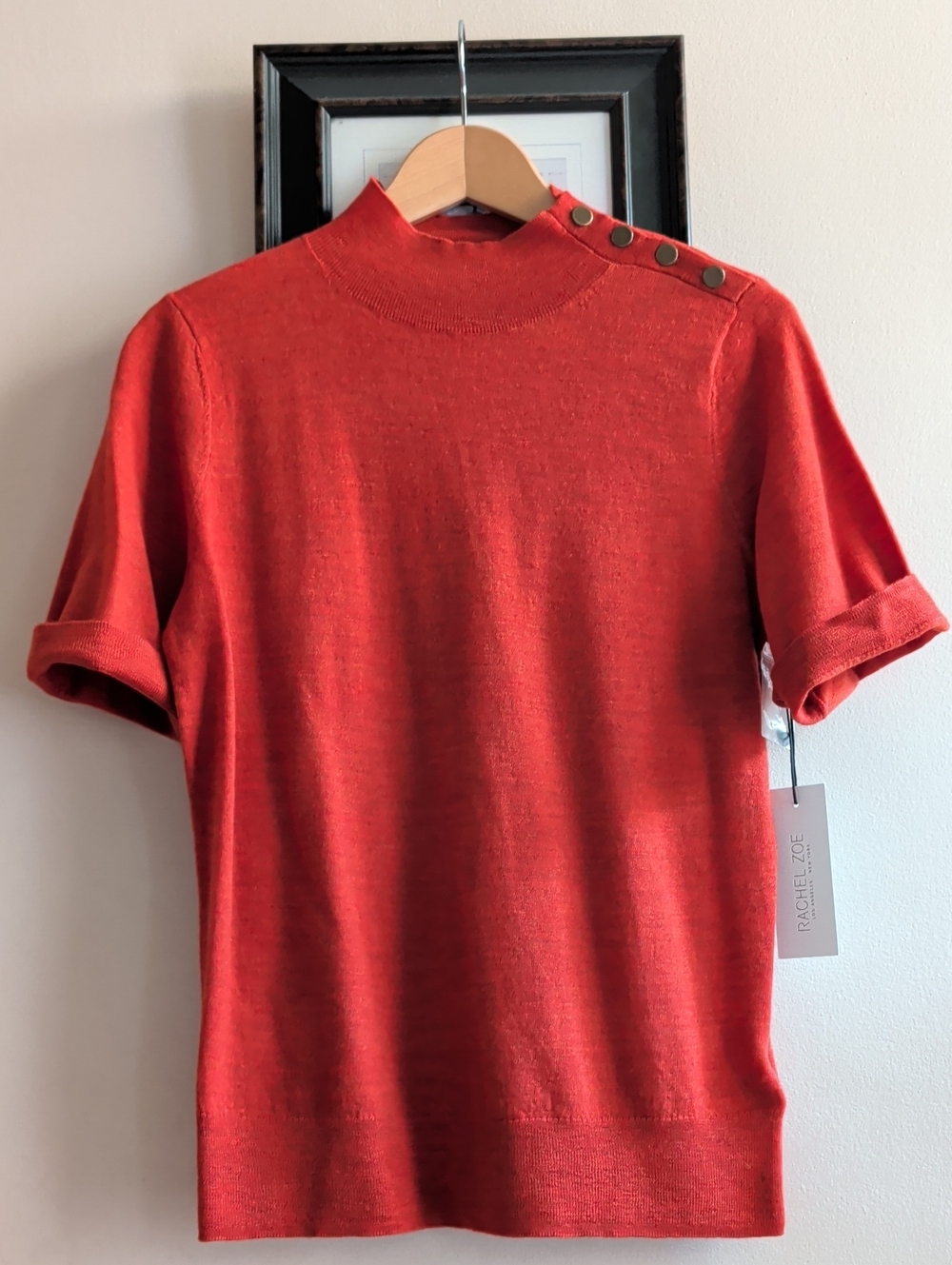Rachel Zoe Merino Wool Short Sleeve Mock Neck Top in Rust